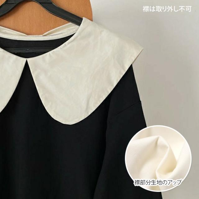 新作 ビッグカラーバックリボンスウェットプルオーバー レディース