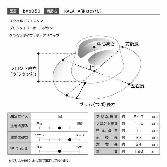 BIGALLI パナマハット パナマ帽 メンズ レディース 中折れハット 帽子 紳士 春 夏 大きいサイズ ブランド エクアドル製 ビガリ KALAHARI