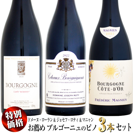 ブルゴーニュ赤ワイン 3本セット ブルゴーニュ赤3本セット 第29弾