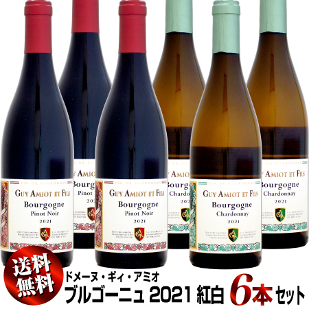 【クール送料無料】紅白6本セット ドメーヌ・ギィ・アミオ ブルゴーニュ [2021]750ml