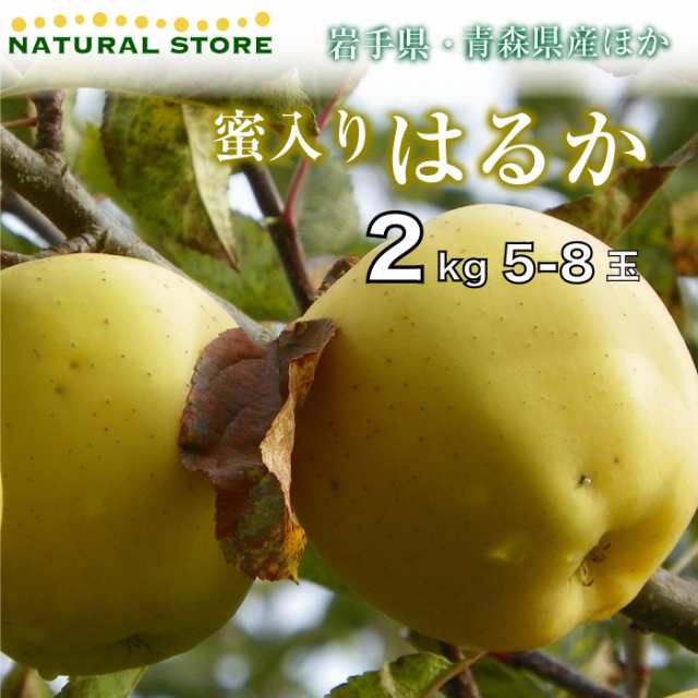 蜜入り　5玉-8玉（中大玉）2キロ箱　長野県産　12月20日-12月31日の納品]　お歳の通販はau　マーケット　りんご　予約　2023年　PAY　冬ギフト　au　はるか　auPAYマーケットストア　化粧箱　マーケット－通販サイト　青森県産　ほか　サロンドフルーツ　PAY