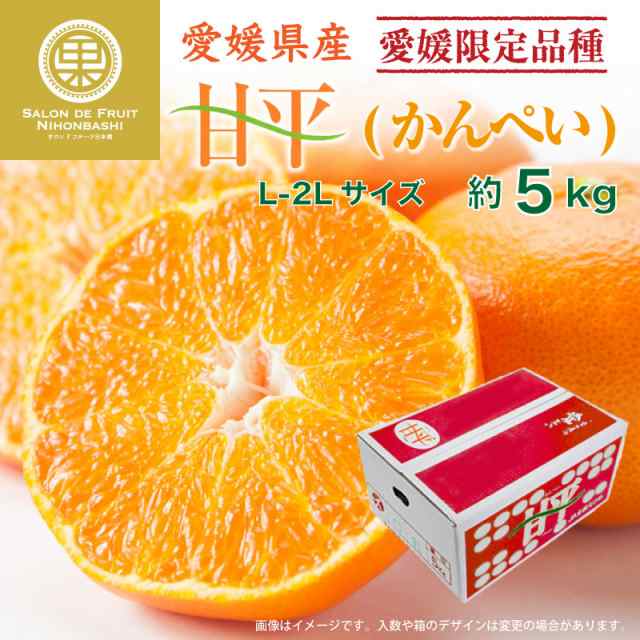 予約 1月10日-2月28日の納品] 甘平 約5kg L 2L 愛媛県産 化粧箱 みかん