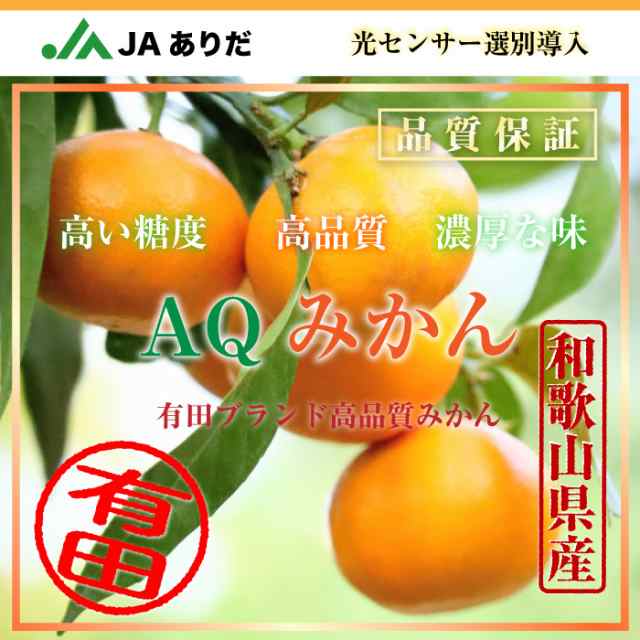 AQみかん　お歳暮　auPAYマーケットストア　PAY　御の通販はau　au　予約　JAありだ　PAY　3kg　2023年　高糖度　冬ギフト　和歌山県有田産　12月15日頃から発送]　サロンドフルーツ　有田みかん　有田AQ選果場　L　上級品　マーケット　マーケット－通販サイト