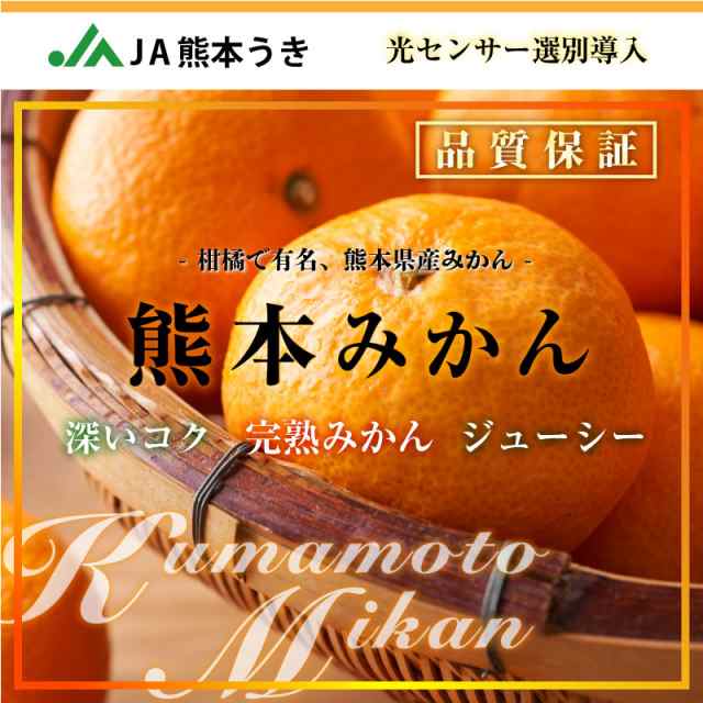 12月31日必着]　熊本みかん　約5kg　Mサイズ　PAY　PAY　熊本県産　熊本　マーケット－通販サイト　JA熊本うき　大晦日必着指定の通販はau　産地箱　冬ギフト　auPAYマーケットストア　お歳暮　御歳暮　マーケット　サロンドフルーツ　au　予約　2023年