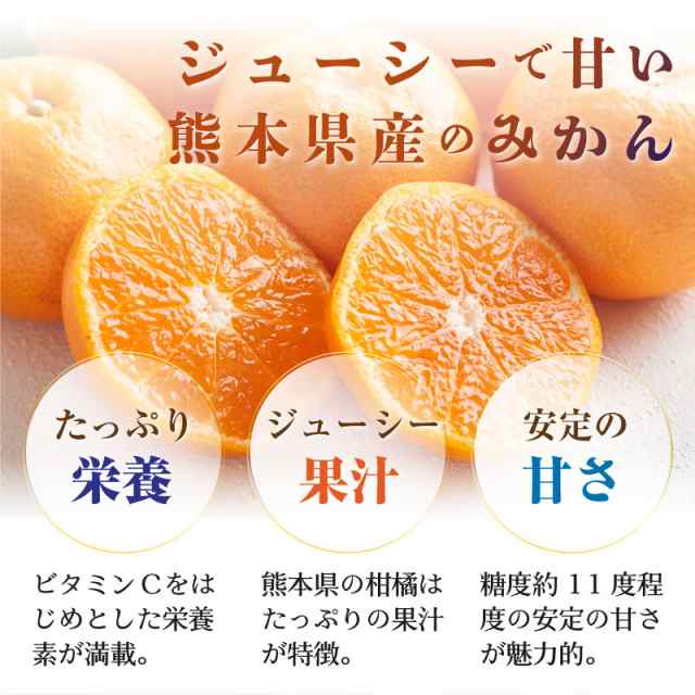 Lサイズ　予約　御歳暮の通販はau　JA熊本うき　auPAYマーケットストア　熊本県産　PAY　12月5日頃から発送]　産地箱　2023年　お歳暮　約5kg　サロンドフルーツ　熊本　PAY　マーケット－通販サイト　熊本みかん　マーケット　冬ギフト　au