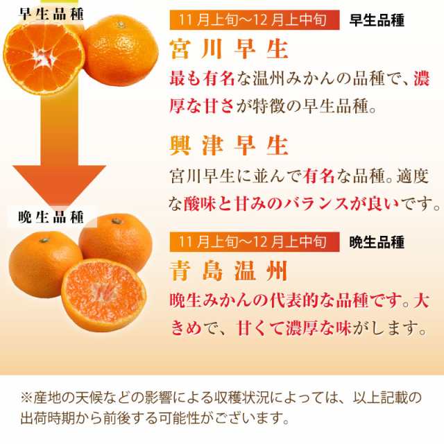 12月31日必着]　熊本みかん　約5kg　Mサイズ　PAY　PAY　熊本県産　熊本　マーケット－通販サイト　JA熊本うき　大晦日必着指定の通販はau　産地箱　冬ギフト　auPAYマーケットストア　お歳暮　御歳暮　マーケット　サロンドフルーツ　au　予約　2023年