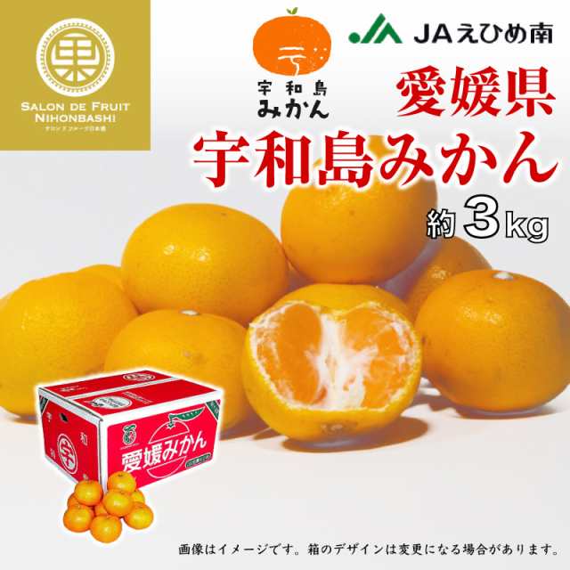 PAY　PAY　宇和島みかん　SML　マーケット　約3kg　デイリー　au　レギュラー　予約　auPAYマーケットストア　うわじま　早生　サロンドフルーツ　12月1日-12月20日の納品]　の通販はau　南柑20号　愛媛県　マーケット－通販サイト