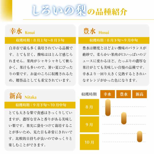 予約 9月26日-10月10日の納品] 千葉県白井産 白井ブランド 梨 幸水