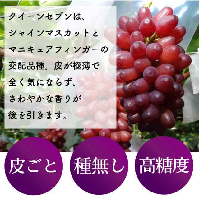 予約 7月15日〜初荷分より順次発送] クイーンセブン 1房 約500g 長野県