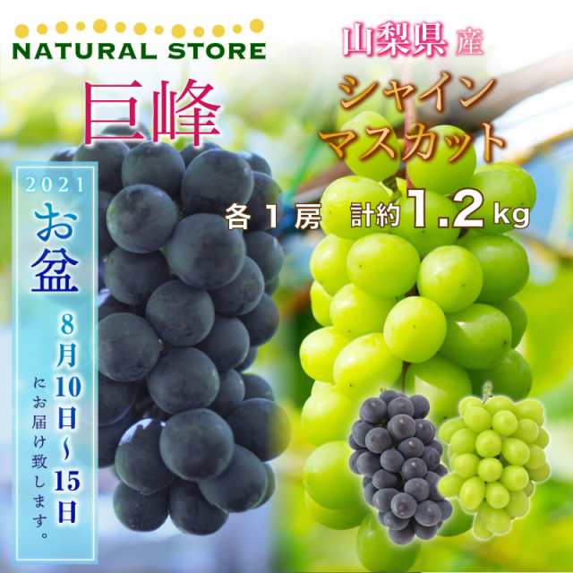 山梨県産　夏ギフト　秋ギフト　1房　最短順次発送]　巨峰　計1.2kg　シャインマスカット　1房　果実ギフト-