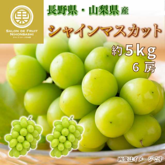 ナガノパープルシャインマスカット 約5kg - 通販 - pinehotel.info