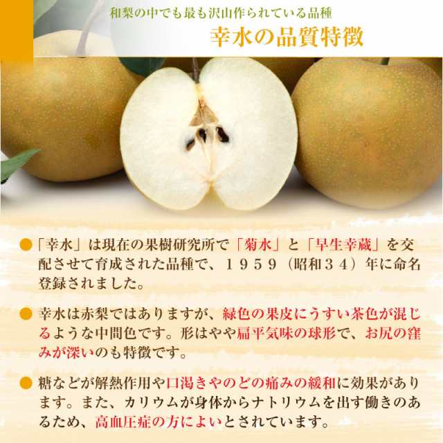 [最短順次発送] 幸水 梨 和梨 5kg 10-12玉 栃木 埼玉 茨城 産他 暑中見舞 残暑見舞 夏ギフト｜au PAY マーケット