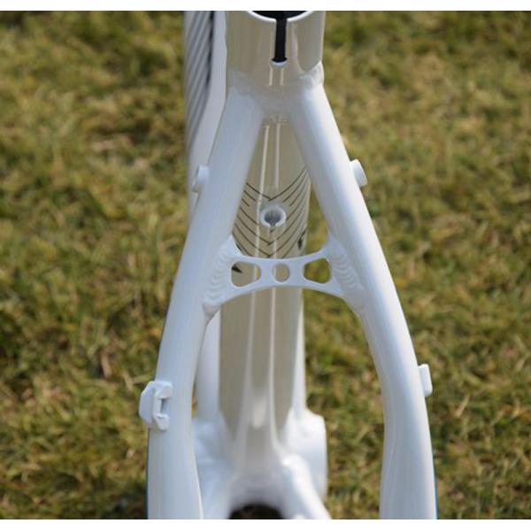 LUTU マウンテンバイクフレーム MTB ディスクブレーキフレーム 超軽量