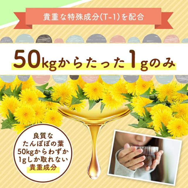 7種類から選べるオマケ付】たんぽぽ茶 ショウキ T-1プラス 100ml × 30袋