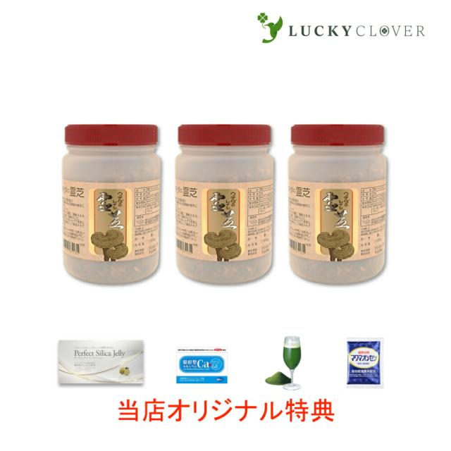 【選べるおまけ付き】【3個セット】霊芝エキス 顆粒 500g れいし ウチダ和漢薬の通販は