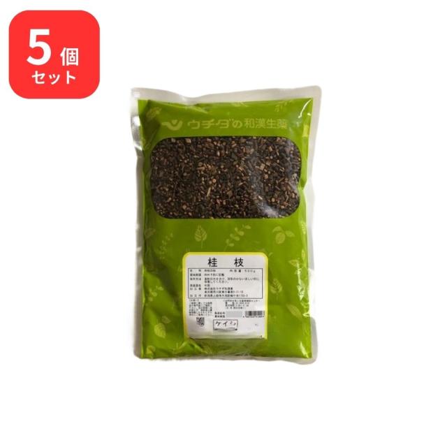 【5個セット】 ウチダ和漢薬 桂枝 ケイシ刻 500g