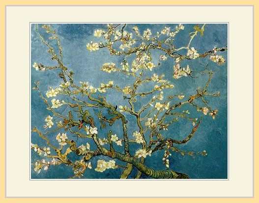 キャンバスアート ゴッホ「アーモンドの花咲く木の枝」 - 美術品
