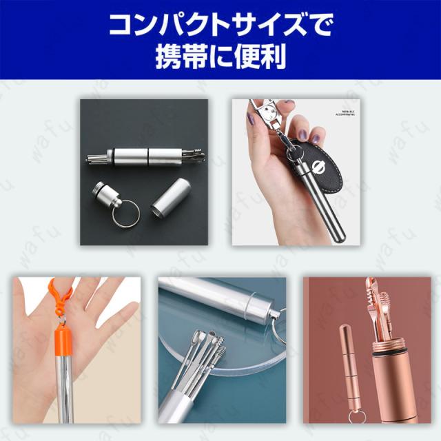 耳かき (#br99) 日本国内当日発送 6点セット 耳掻き 耳掃除 みみかき