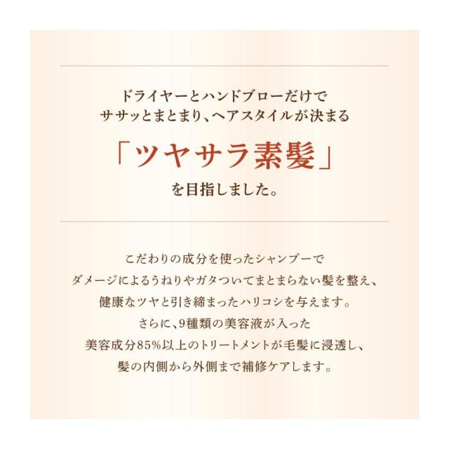 THREE DIEU(スリーデュー) プロテクトシャンプー&プロテクトトリートメント セット の通販は THREE DIEU(スリーデュー) プロテクトシャンプー&プロテクトトリートメント セット の通販は