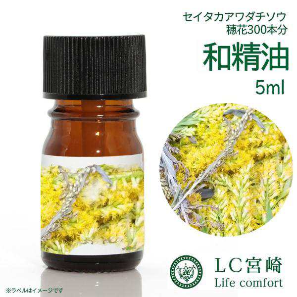 背高泡立草 和精油 5ml セイタカアワダチソウ