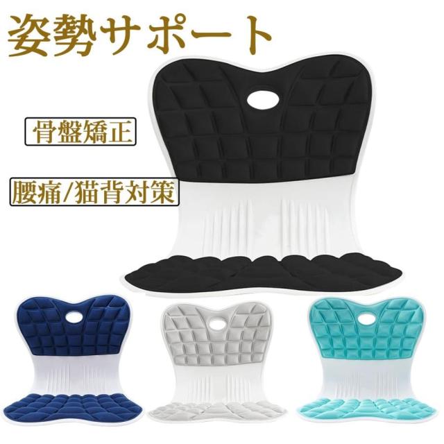 Style 骨盤・姿勢矯正クッション ネイビー Style スタイル スマート ネイビー ブラウン ブラック SMART 椅子