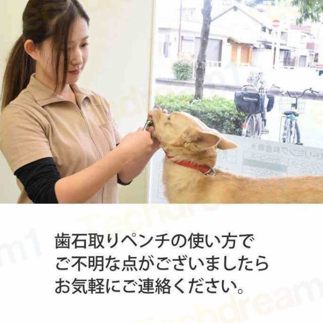 愛犬用歯石取りケア５点プレミアムセット スケーラー ペンチ 犬 デンタルケア 歯石取り