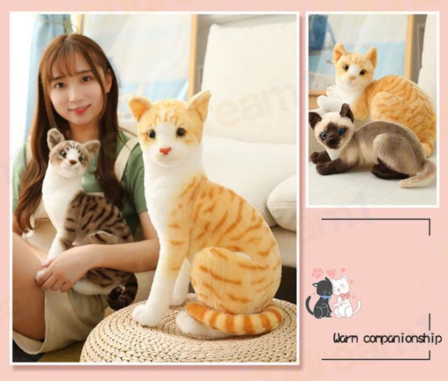 猫 ぬいぐるみ リアル シャムネコ タヌキ猫 茶トラ猫 ペット シャム猫 ねこ 本物 そっくり ネコ 子ども キッズ ギフト こどもの日 プレゼント 子供 女の子の通販は - TECHDREAM1 通販サイト