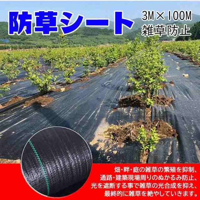 防草シート 雑草防止 園芸シート 3m×100m 大面積専用 1本 100メートル