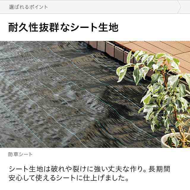 防草シート 雑草防止 園芸シート 3m×100m 大面積専用 1本 100メートル