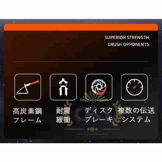 自転車 バイク マウンテンバイク 太いタイヤ 21 24 26 30段変速 24インチ 26インチ スポーツアウトドア メンズ レディース