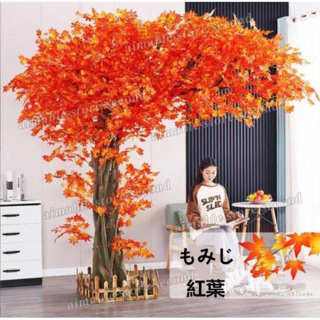 シミュレーションツリー 紅葉の木 もみじツリー 紅葉 モデリングツリー シミュレーション 風景シミュレーションイチョウの木 リビング 店舗 商店街