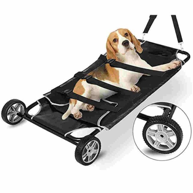 犬輸送用獣医師ストレッチャーペット 動物用ストレッチャー 犬輸送用ペットストレッチャー 犬用ストレッチャー ペットトロリー 車輪付き プロフェッショナルスト