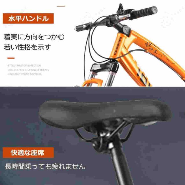 ファットバイク 20インチホイール、自転車 ファットタイヤマウンテンバイク、7スピード、ハイカーボンスチールフレーム、ダブルディスクブレーキ、フロントサス_5