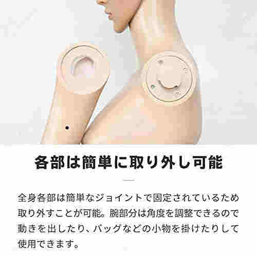 マネキン 全身 リアルマネキン 女性 靴対応 軽量 B83 W61 H86 ディスプレイ トルソー 可動 頭 手 □_74140