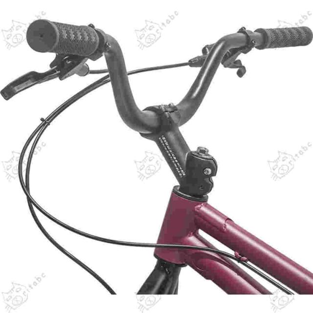 BMX 自転車 20インチ フリースタイルBMXバイク初心者から上級者向け Urraca男性と女性_1