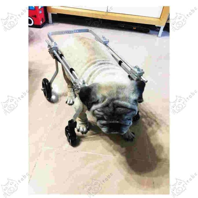 犬用歩行器 親友 - 犬車椅子調節可能な4輪ステンレス鋼カートペット/猫犬車椅子後肢障害者用リハビリテーション 犬用車椅子_4
