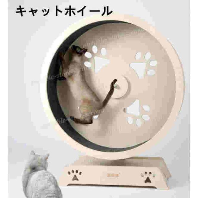 キャットホイール ローラーキャット キャットタワー　ランニングホイール 猫のトレッドミル ノイズなし 猫 おもちゃ ホイール回転 猫の家具の通販は