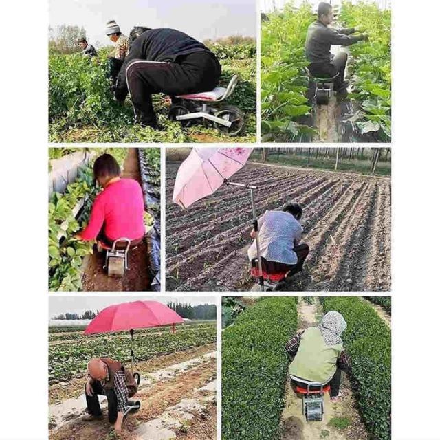 ガーデニング ローリングシート ガーデンシート ガーデンチェア 高さ