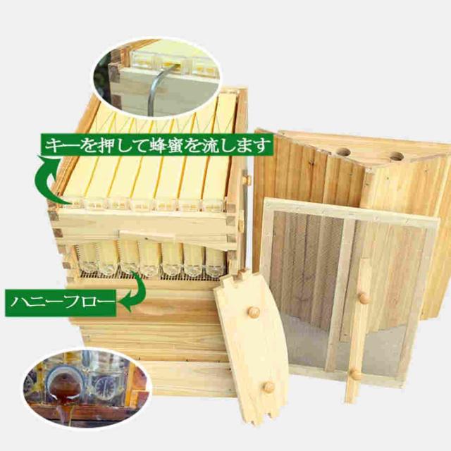 蜜蜂巣箱 養蜂箱 蜂の巣 養蜂器具 文蜂 巣箱 蜜蜂飼育箱
