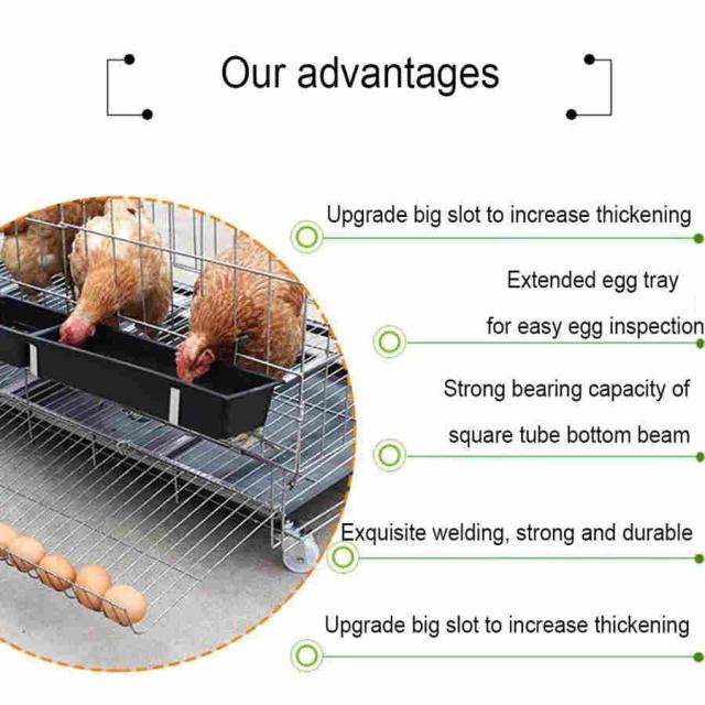 鶏用ケージ飼育ケージ 鶏用ケージバードケージ 鶏小屋、屋外の鶏小屋、裏庭と屋外用の大きなハッチ鶏の巣、サイズに応じて4/6の鳥に適しています、アウトドア家_6