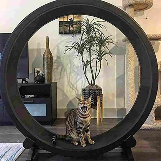 キャットエクササイズホイールローラーキャットランニングホイール直径1.2メートルはあなたの元気な猫に最適_2