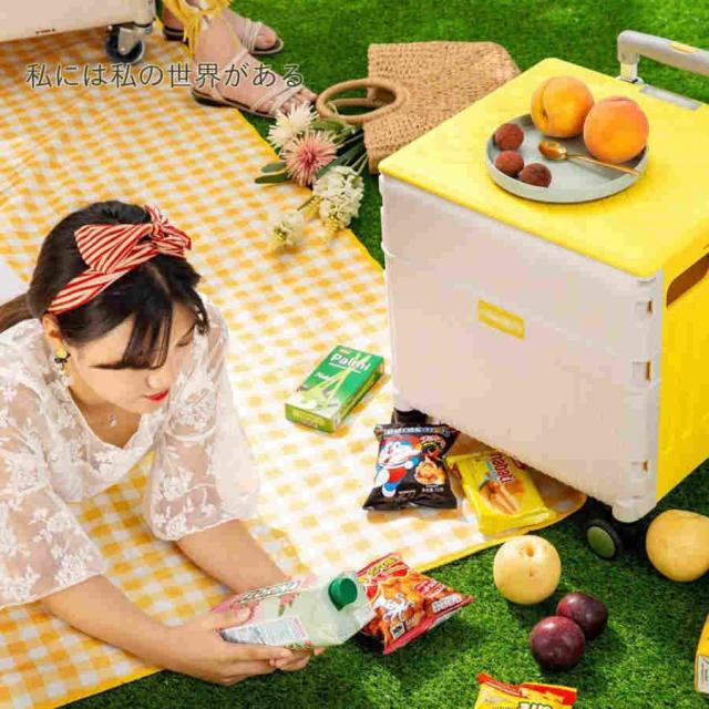 キャリーカート 折りたたみ 買い物カート ショッピングカート 買い物カート キャンプ カート車輪付き 高齢者 買い物 台車 多機能 キャリーカート おしゃれ 静音