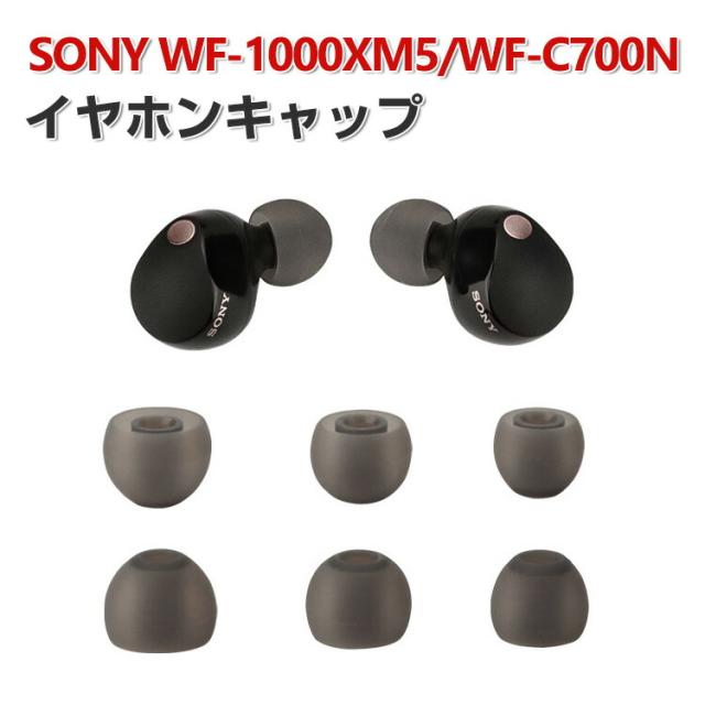 SONY WF-1000xm5 本体　イヤーピース イヤーピース SONY用 WF‐1000xm5用 WF‐1000xm4用 WF-C700N用 6
