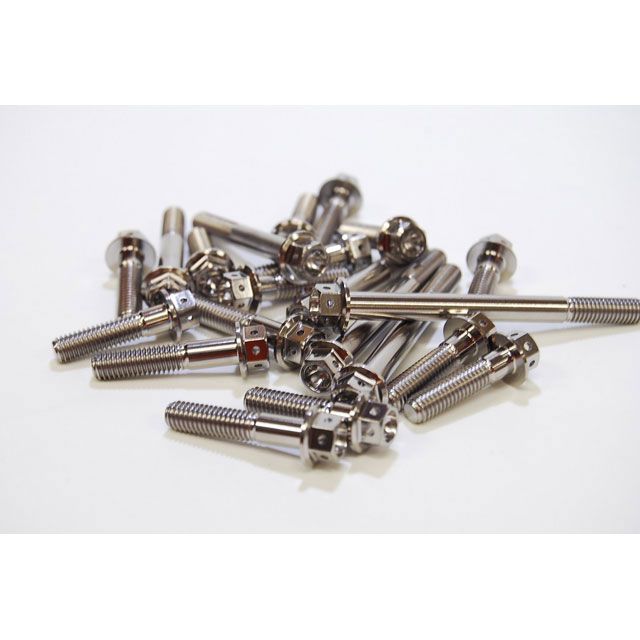 バグース ZEPHYR1100 チタンエンジンカバーボルトセット ZEPHYR1100（A1/A2 92-93） Bagus バイクの通販は 47,678円