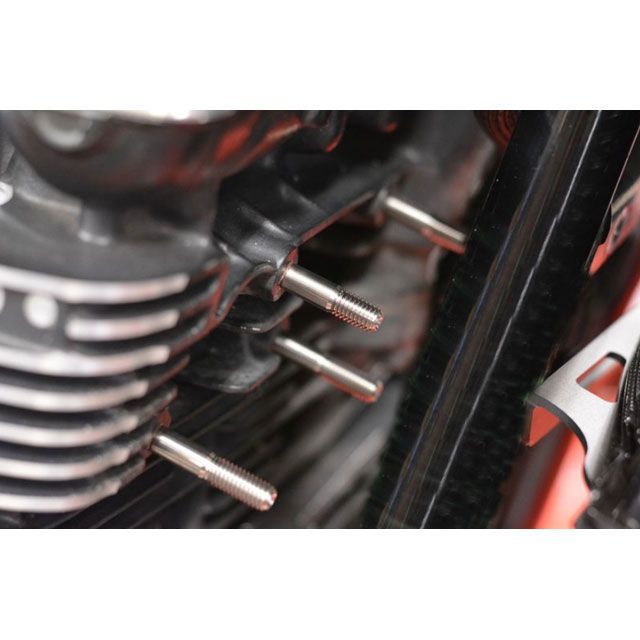 バグース ZEPHYR1100 チタンスタッドボルト ZEPHYR1100 Bagus