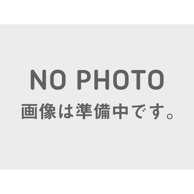 サンダーバイク ハーレー H-Rad Spoke 6.0x18 Thunder Bike