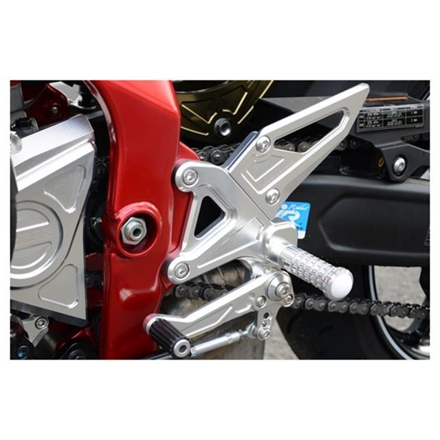 アグラス ZX-25R バックステップ AGRAS バイク
