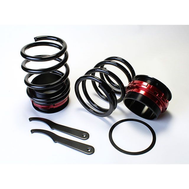 シュピーゲル シュピーゲル リア車高調キット ショートスプリング