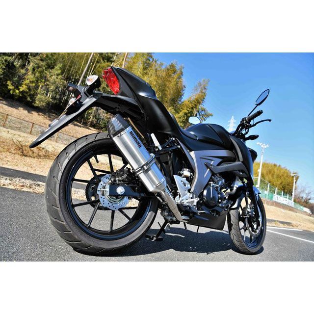 イトウ 標本 約60cm 剥製 剥製標本｜展示のご案内｜東村立 山と水の