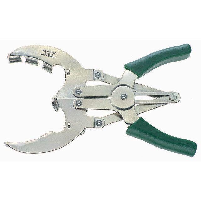 21 Agave titanota Red venom アガベ チタノタ レッドヴェノム